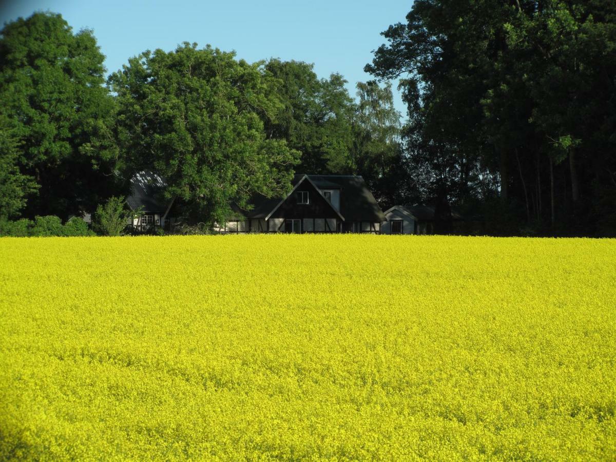 Smedsgarden Hébergement de vacances Höganäs